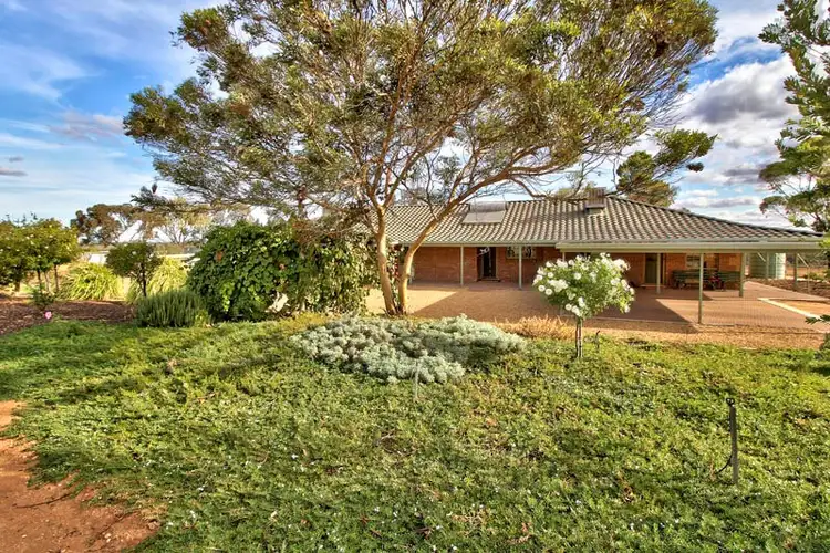 595 Morgan Road, Barmera SA 5345