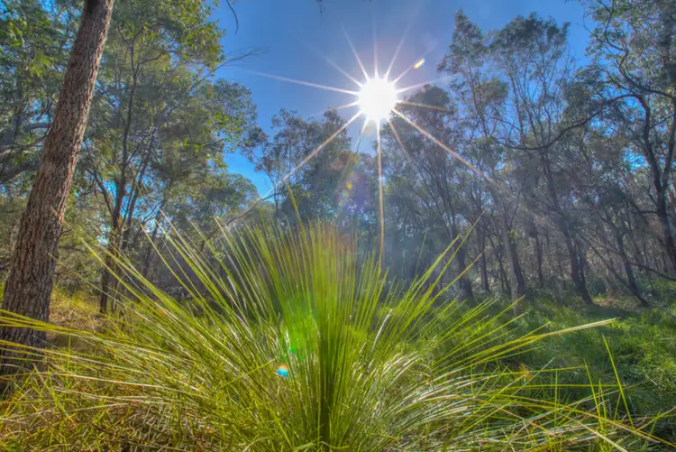 Address available on request