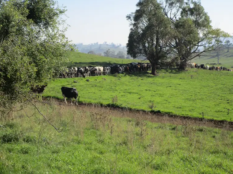 Sixth view of Homely rural property listing, 993 Weegena Road, Weegena TAS 7304