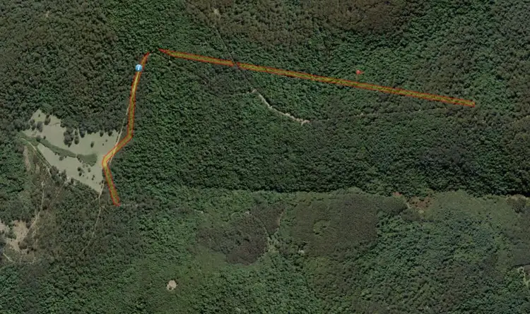 Main view of Homely rural property listing, . Baker Plain Road (1), Billys Creek NSW 2453