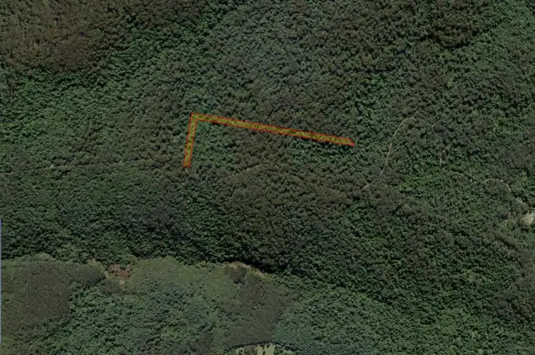 Main view of Homely rural property listing, . Baker Plain Road (2), Billys Creek NSW 2453