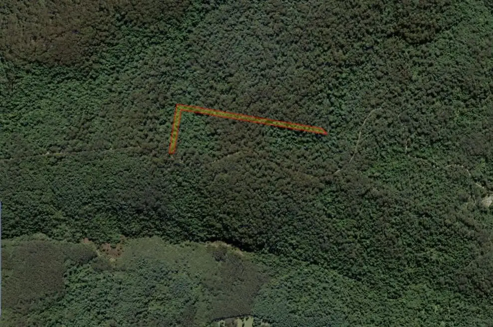 Main view of Homely rural property listing, . Baker Plain Road (2), Billys Creek NSW 2453