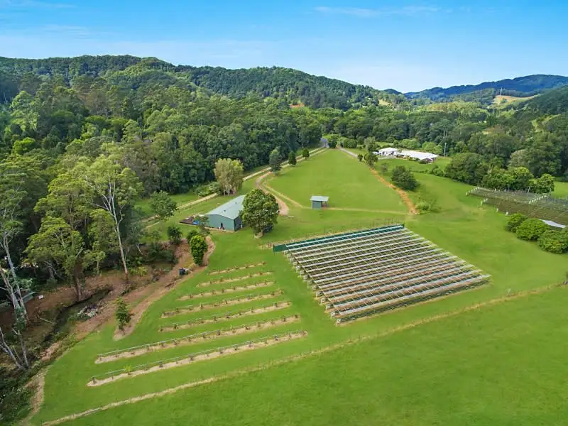 Main view of Homely house listing, 37 WALLAROO DRIVE, Burringbar NSW 2483