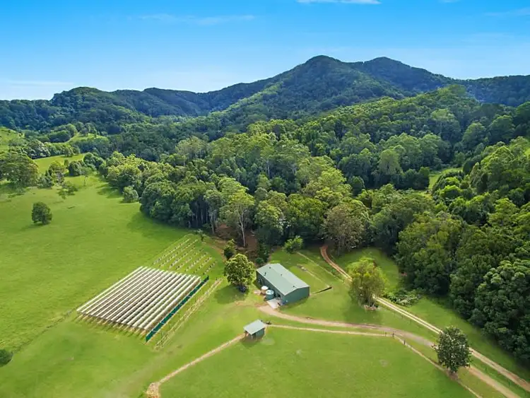 Fifth view of Homely house listing, 37 WALLAROO DRIVE, Burringbar NSW 2483