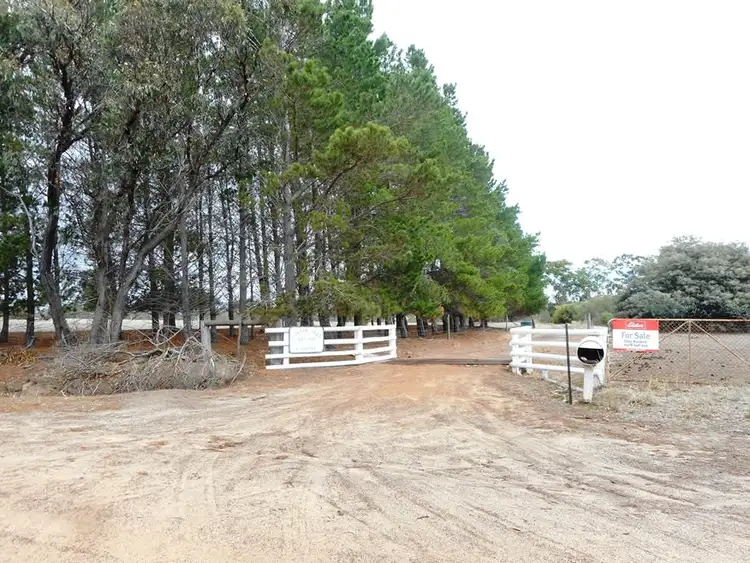 Main view of Homely house listing, 254 Alger Road, Kojonup WA 6395