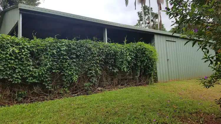 Fourth view of Homely house listing, 272 Old Palmwoods Road, Palmwoods QLD 4555