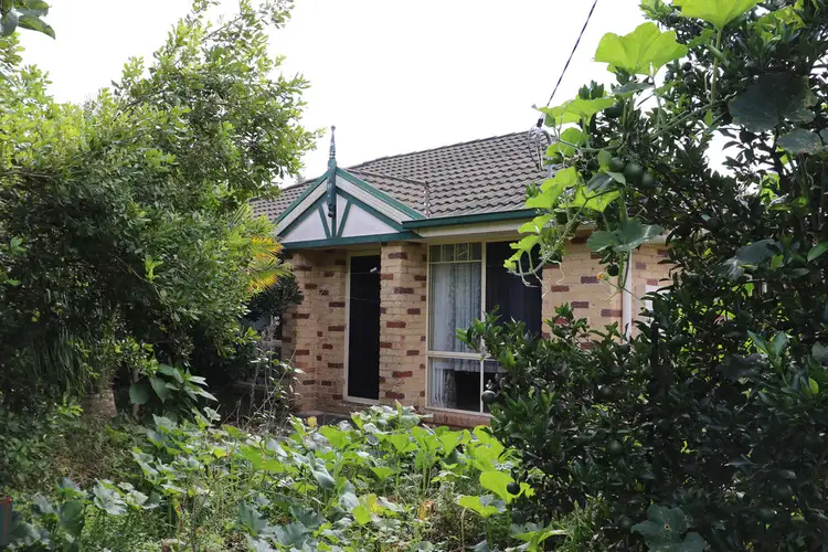 Third view of Homely house listing, Lot 1, 24 Cecil Street, Nimbin NSW 2480