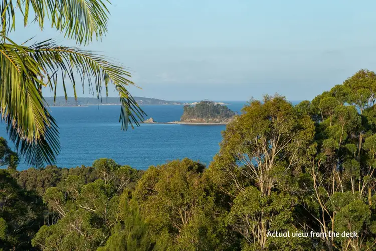 Sixth view of Homely house listing, 53 Ridge Street, Catalina NSW 2536