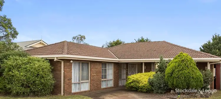 Main view of Homely house listing, 24 Currawong Court, Capel Sound VIC 3940
