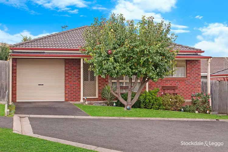 Main view of Homely house listing, 5/151 Raglan Parade, Warrnambool VIC 3280