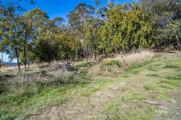 Sixth view of Homely land listing, 525 Deviot Road, Deviot TAS 7275