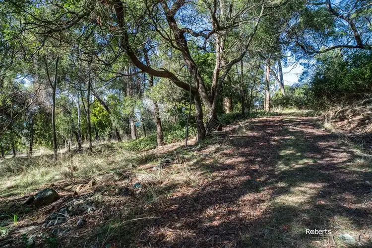 Seventh view of Homely land listing, 525 Deviot Road, Deviot TAS 7275