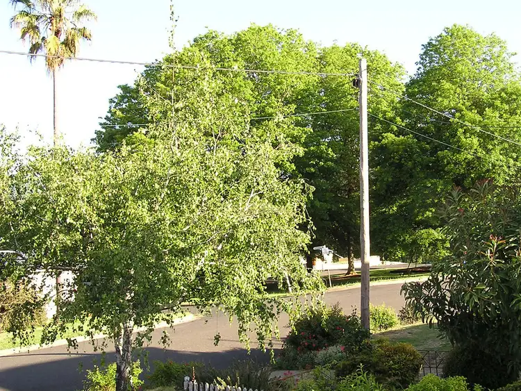 Sixth view of Homely house listing, 24 Coorabel Avenue, Batlow NSW 2730