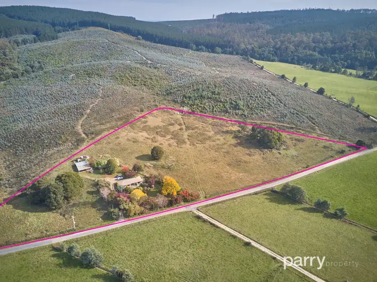 Main view of Homely house listing, 91 Fenckers Road, Branxholm TAS 7261