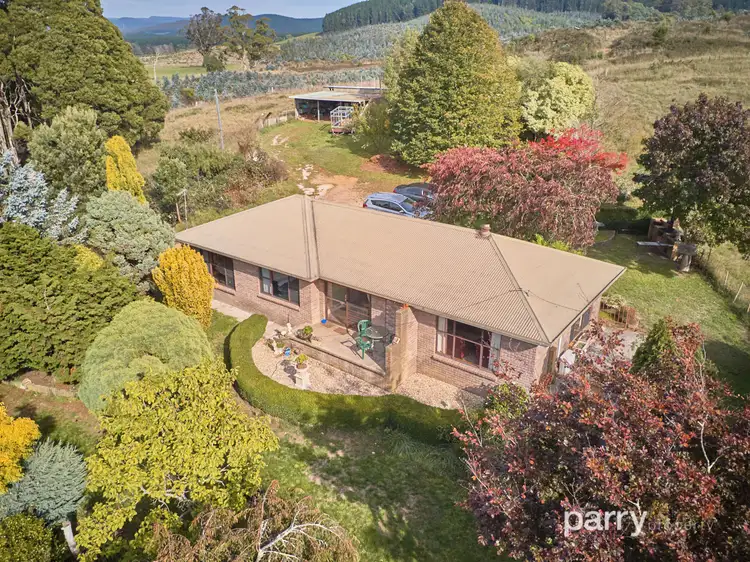 Second view of Homely house listing, 91 Fenckers Road, Branxholm TAS 7261
