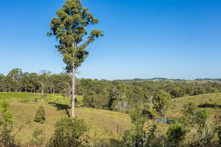 Seventh view of Homely land listing, 462 Burridge Road, Kybong QLD 4570