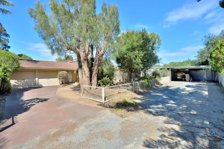 Main view of Homely house listing, 59 Mahogany Drive, Halls Head WA 6210