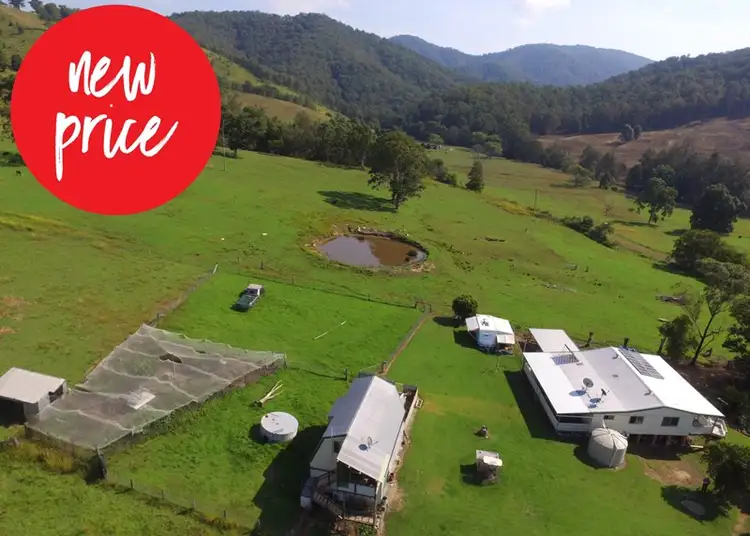 Main view of Homely rural property listing, 137 Mount Pleasant Road, Wherrol Flat NSW 2429