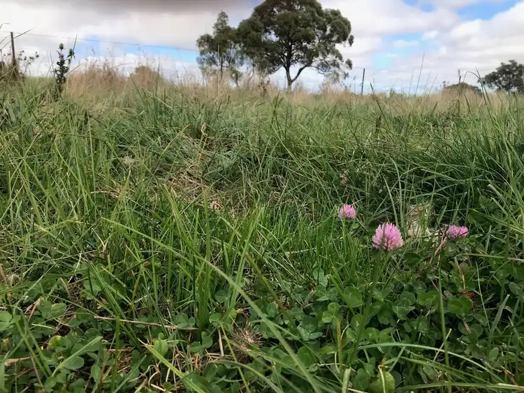 Sixth view of Homely rural property listing, 700 Bagot Road, Guyra NSW 2365