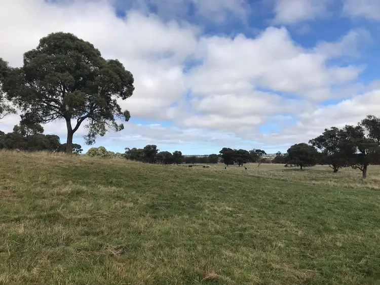 Seventh view of Homely rural property listing, 700 Bagot Road, Guyra NSW 2365