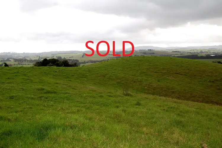 Main view of Homely rural property listing, 501 Maynards Plains Rd, Dorrigo NSW 2453