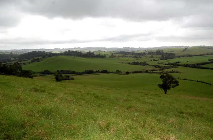 Second view of Homely rural property listing, 501 Maynards Plains Rd, Dorrigo NSW 2453