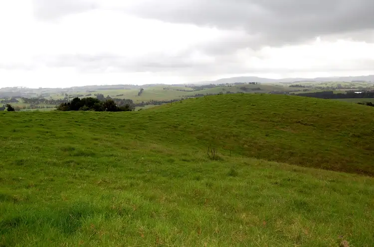 Third view of Homely rural property listing, 501 Maynards Plains Rd, Dorrigo NSW 2453