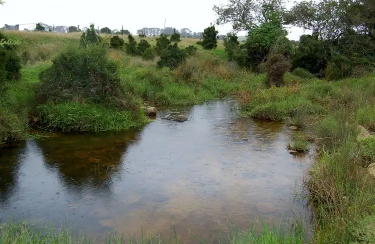 Fourth view of Homely rural property listing, 501 Maynards Plains Rd, Dorrigo NSW 2453