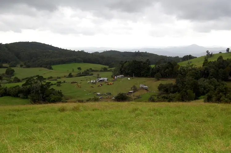 Sixth view of Homely rural property listing, 501 Maynards Plains Rd, Dorrigo NSW 2453