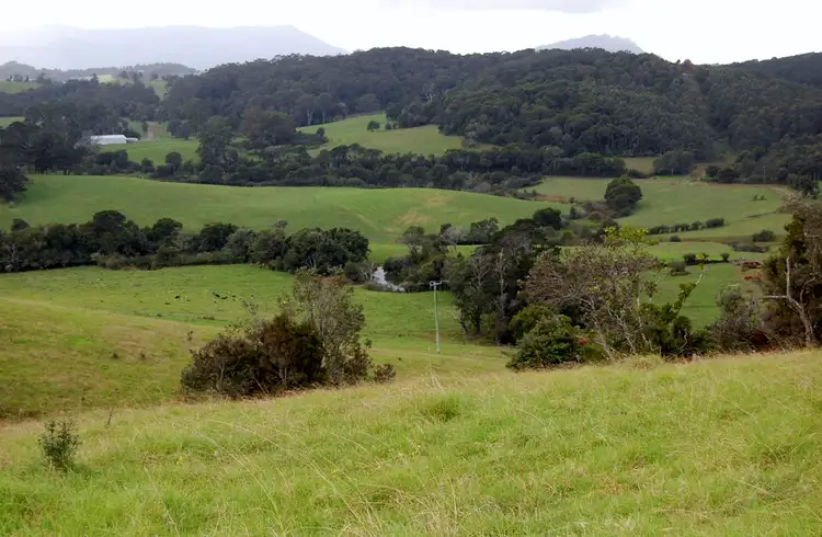 Seventh view of Homely rural property listing, 501 Maynards Plains Rd, Dorrigo NSW 2453