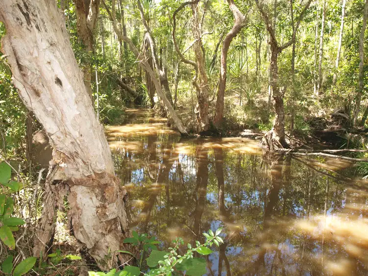 Fourth view of Homely land listing, 911 EULUMA CREEK ROAD, Julatten QLD 4871