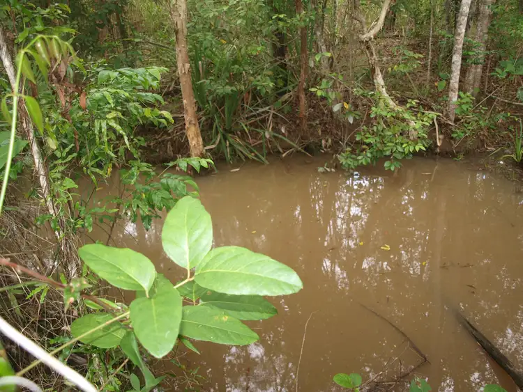 Fifth view of Homely land listing, 911 EULUMA CREEK ROAD, Julatten QLD 4871