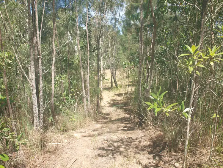Seventh view of Homely land listing, 911 EULUMA CREEK ROAD, Julatten QLD 4871