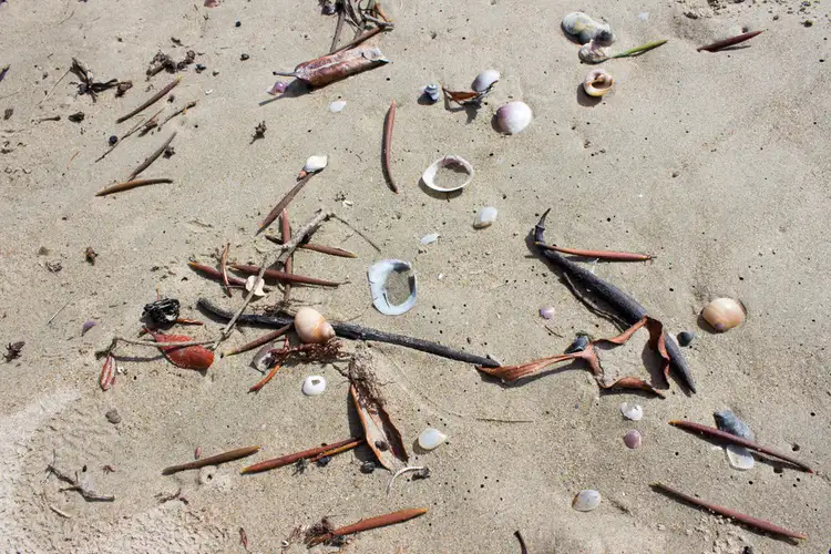 Fourth view of Homely land listing, 491 Oregan Creek Road, Toogoom QLD 4655