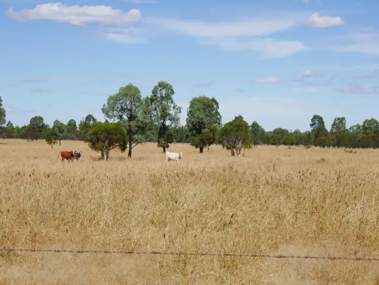 Main view of Homely rural property listing, 581 ACRES GRAZING LIFESTYLE, Cecil Plains QLD 4407