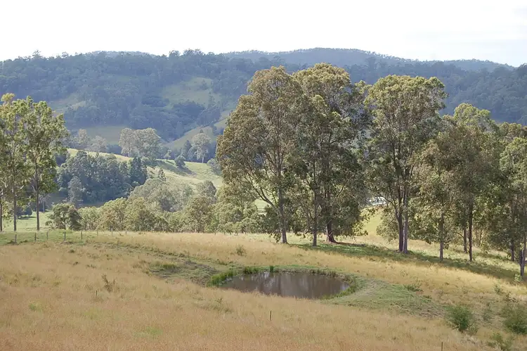 Second view of Homely rural property listing, 165 Ryans Creek Road, Mummulgum NSW 2469