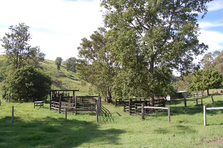 Fourth view of Homely rural property listing, 165 Ryans Creek Road, Mummulgum NSW 2469