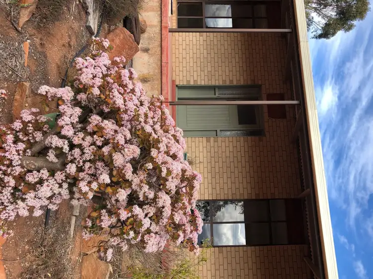 8 Cowley Road, Cleve SA 5640