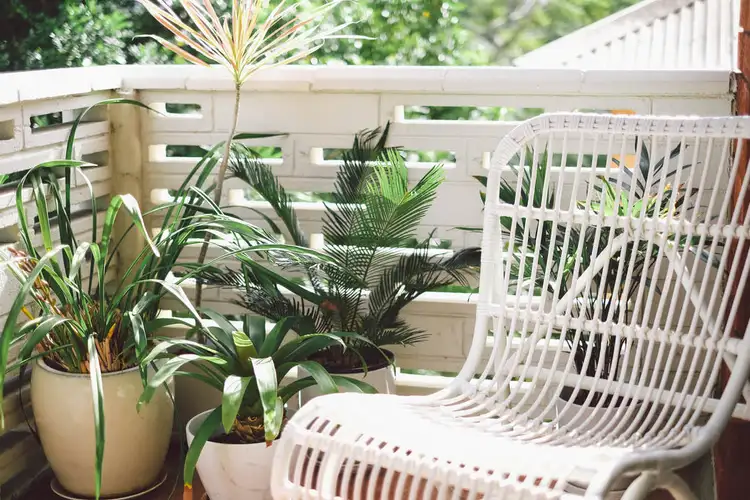 Third view of Homely apartment listing, 1/37A Park Street, Narrabeen NSW 2101