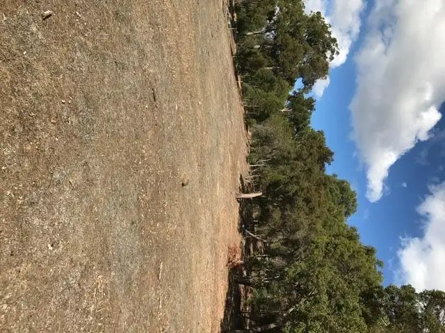 Sixth view of Homely land listing, Lot 106 Marshall Road, Argyle WA 6239