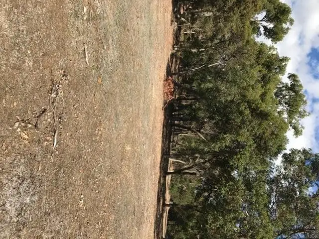 Seventh view of Homely land listing, Lot 106 Marshall Road, Argyle WA 6239