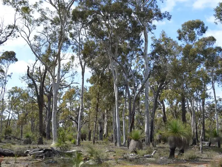 Second view of Homely rural property listing, L1859 Parsons Swamp Road, Boyup Brook WA 6244