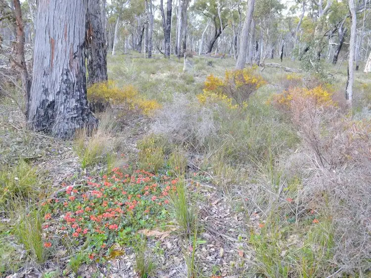 Third view of Homely rural property listing, L1859 Parsons Swamp Road, Boyup Brook WA 6244