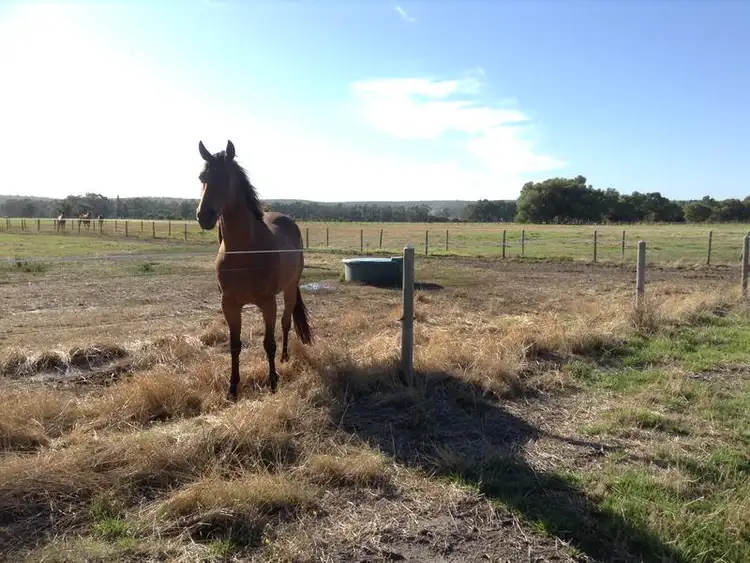 Third view of Homely rural property listing, 352 Lowrie Road, The Plains WA 6237