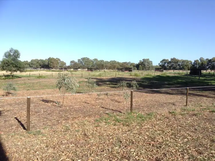Sixth view of Homely rural property listing, 352 Lowrie Road, The Plains WA 6237
