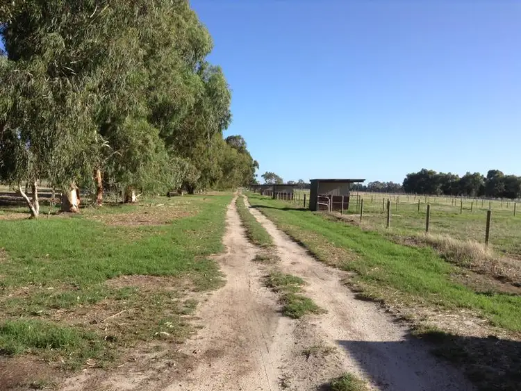 Seventh view of Homely rural property listing, 352 Lowrie Road, The Plains WA 6237