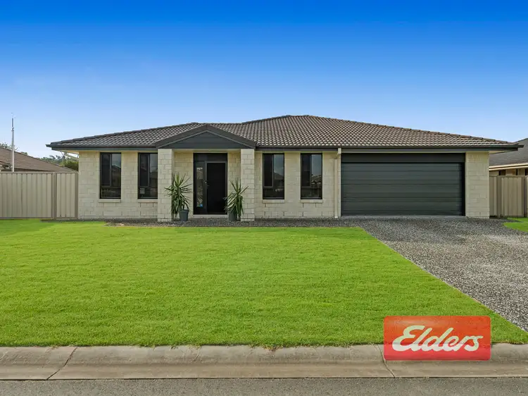 Main view of Homely house listing, 51 River Park Drive, Loganholme QLD 4129