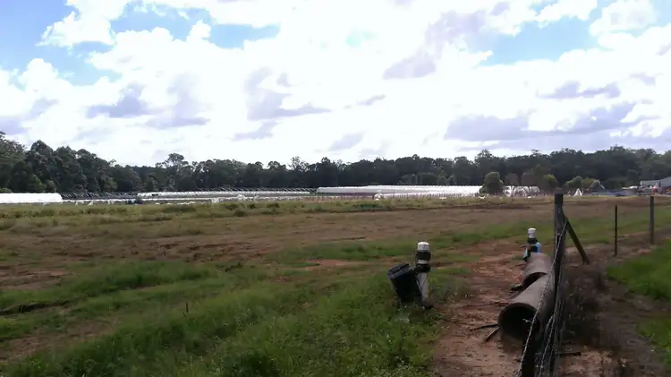 Second view of Homely land listing, 109-135 Schrodter Road, Wamuran QLD 4512