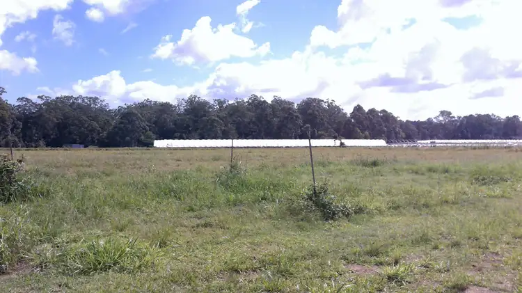 Third view of Homely land listing, 109-135 Schrodter Road, Wamuran QLD 4512