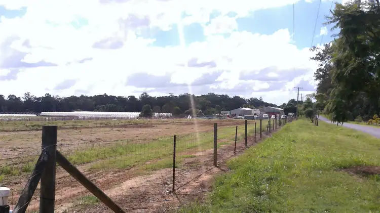 Fourth view of Homely land listing, 109-135 Schrodter Road, Wamuran QLD 4512